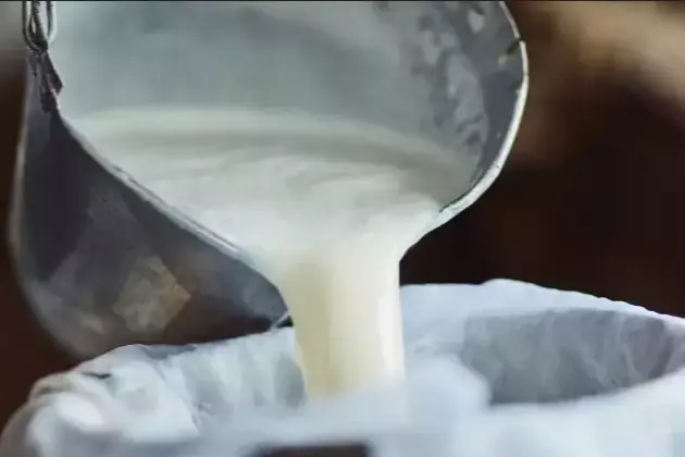 Türkiye’de çiğ süt üretimi 2025’te geriledi!